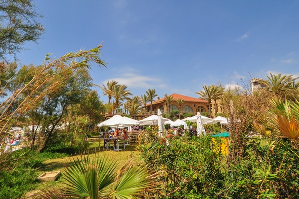 Labor Day At Edde Sands
